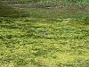 009-0616i.jpg