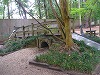 P6010293i.jpg